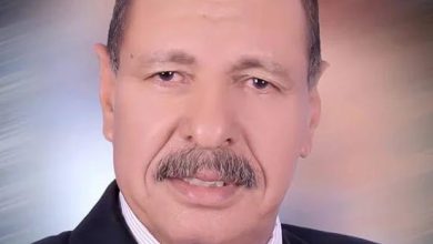 Photo of داود سليمان : ثورة ٢٣ يوليو حافظت على حقوق الشعب ومقدرات الدولة