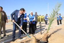 Photo of وزيرا التنمية المحلية و الزراعة يطلقان المرحلة الرابعة من المبادرة الرئاسية لزراعة ١٠٠ مليون شجرة
