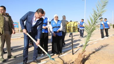 Photo of وزيرا التنمية المحلية و الزراعة يطلقان المرحلة الرابعة من المبادرة الرئاسية لزراعة ١٠٠ مليون شجرة